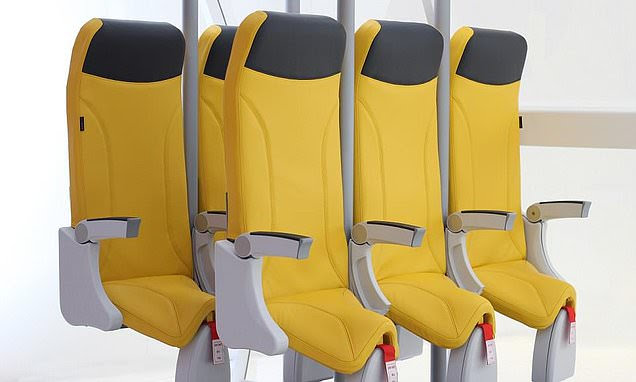 Several budget airlines will reportedly introduce standing-only seating options next year.

Would you buy a standing only ticket, if it's significantly cheaper?