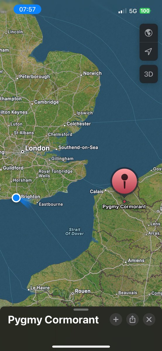 Is this the closest one’s been? Surely this is the year for it to fall!?