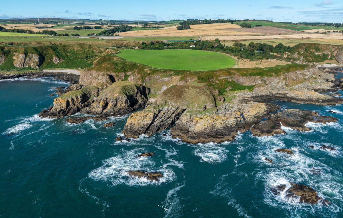 TalentScotland tweet media