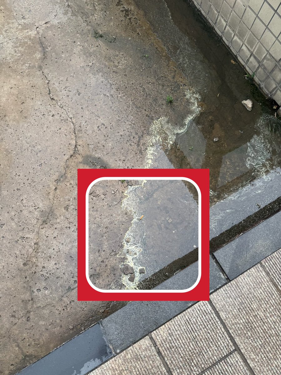 Amazing_Shaun's tweet photo. 卑微的骨头里也有江河
雨后的水洼中也有大海
#撮影
#iphone15 
#北京 
#beijing https://t.co/fUrblxN6eu