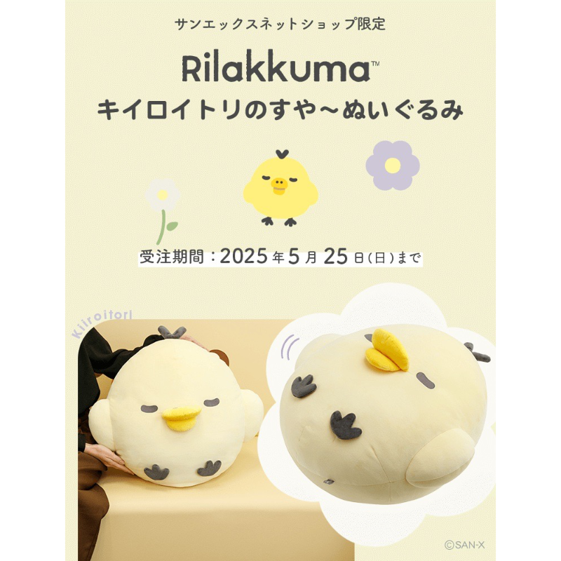 サンエックスネットショップ限定／ キイロイトリのすやすや～な姿の