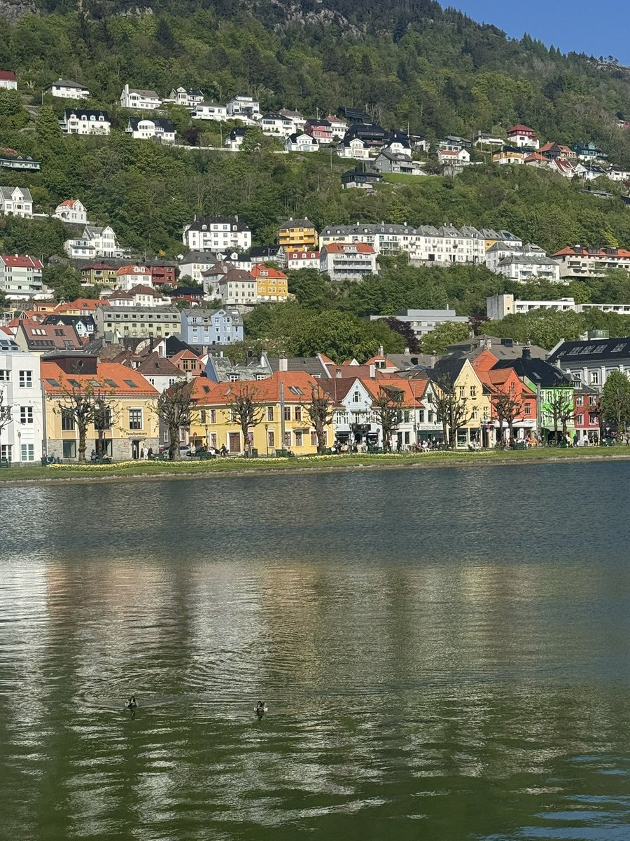 Yara Sleiman (@yara_slei) on Twitter photo Such a joy to present my research at EuroWEPS 11 in beautiful Bergen! Thanks to <a href="/CarloKoos/">Carlo Koos</a> and <a href="/anselmhager/">Anselm Hager</a> for organizing and the participants for amazing feedback! Such a joy to present my research at EuroWEPS 11 in beautiful Bergen! Thanks to <a href="/CarloKoos/">Carlo Koos</a> and <a href="/anselmhager/">Anselm Hager</a> for organizing and the participants for amazing feedback!