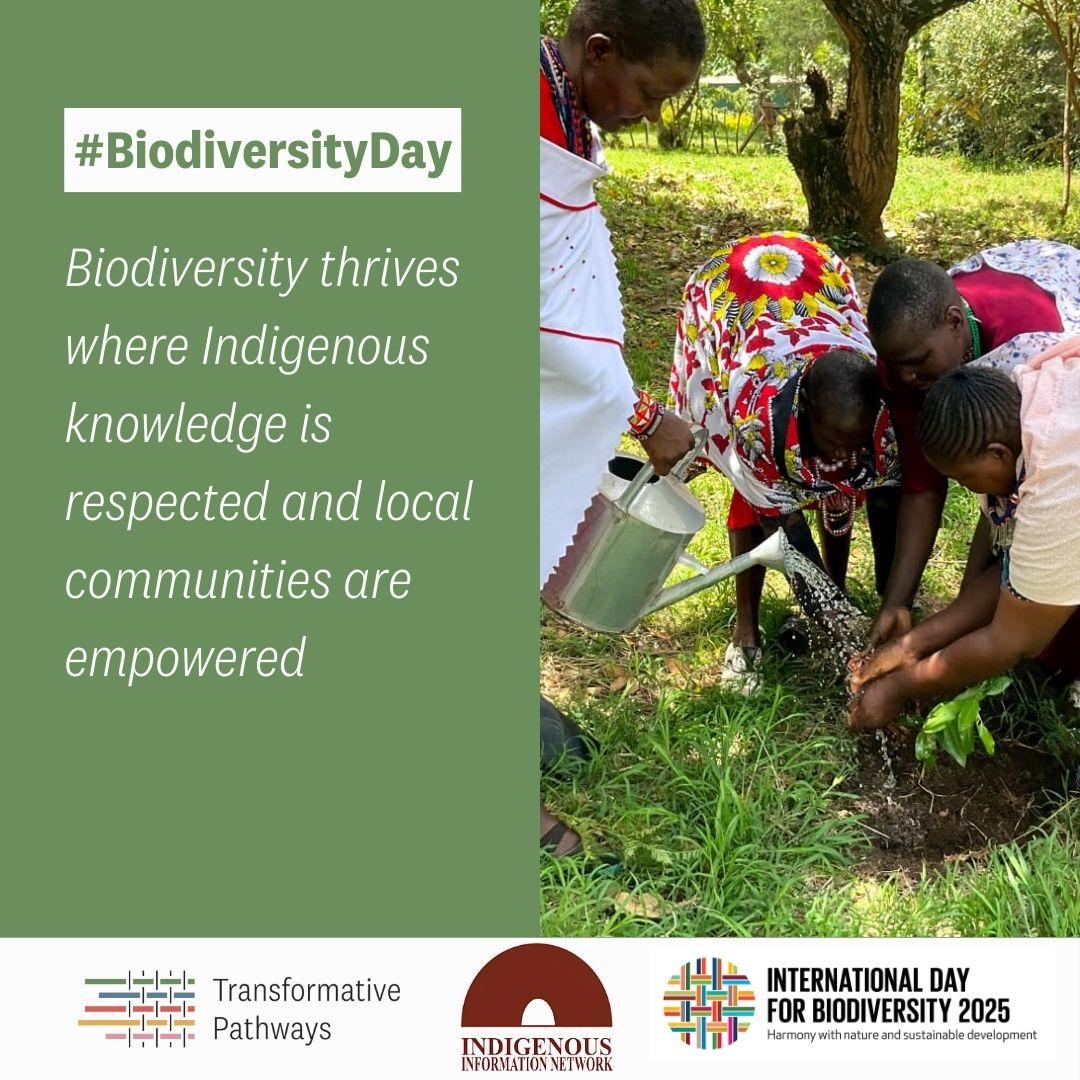 Happy International Day for Biological Diversity! 🌎This year, let's strive for "Harmony with nature and sustainable development." Our planet's biodiversity is the foundation of health, food, and climate resilience.
Let’s protect it. #BiodiversityDay  #TransformativePathways