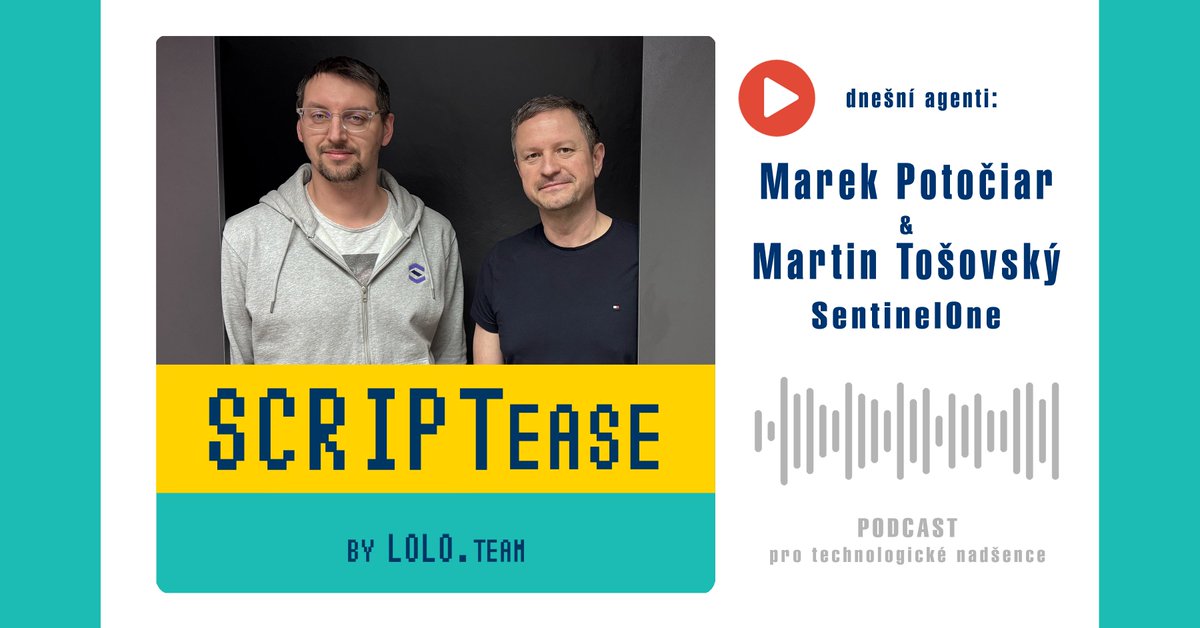 LOLO.team tweet media