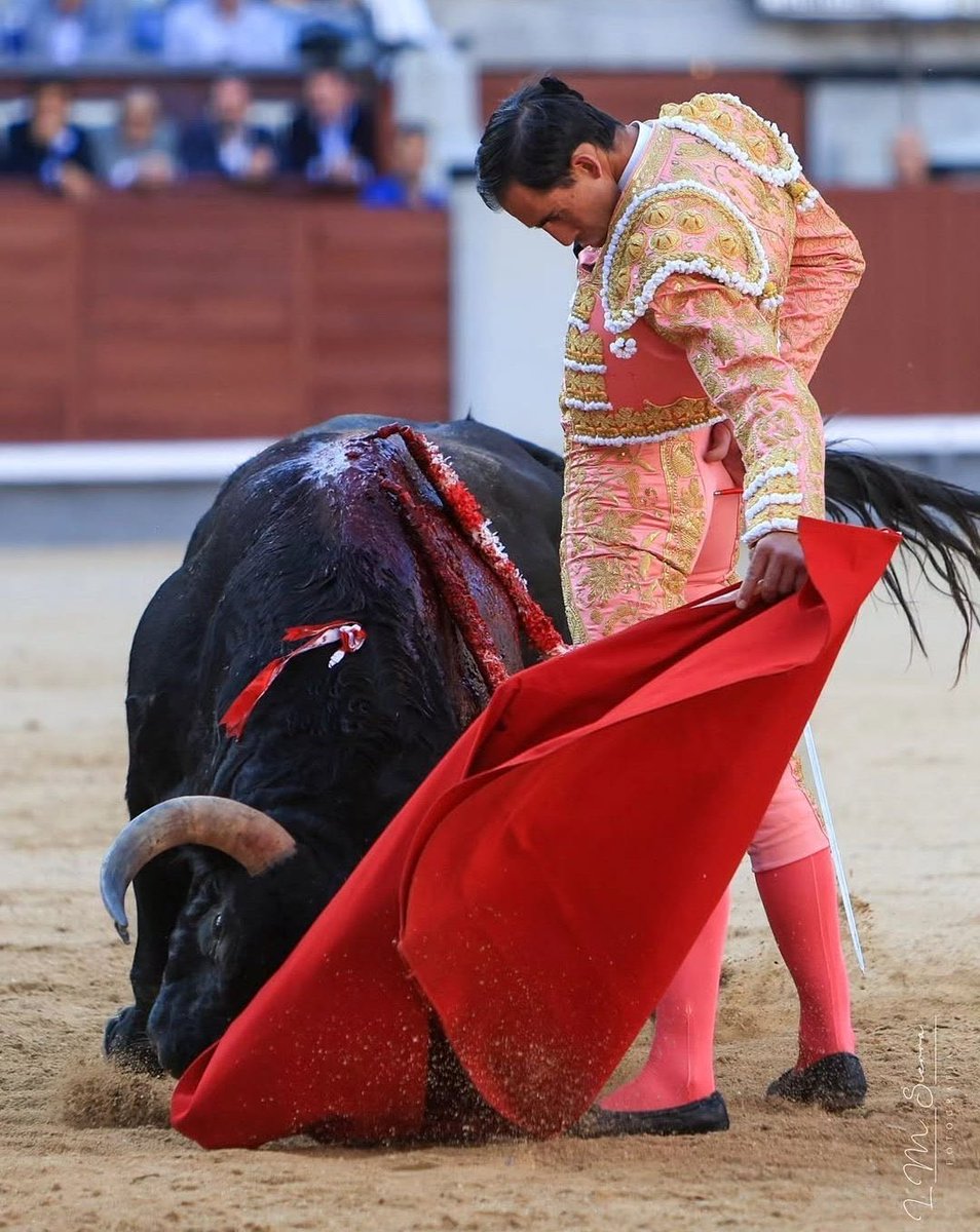 Pureza y Emoción tweet media