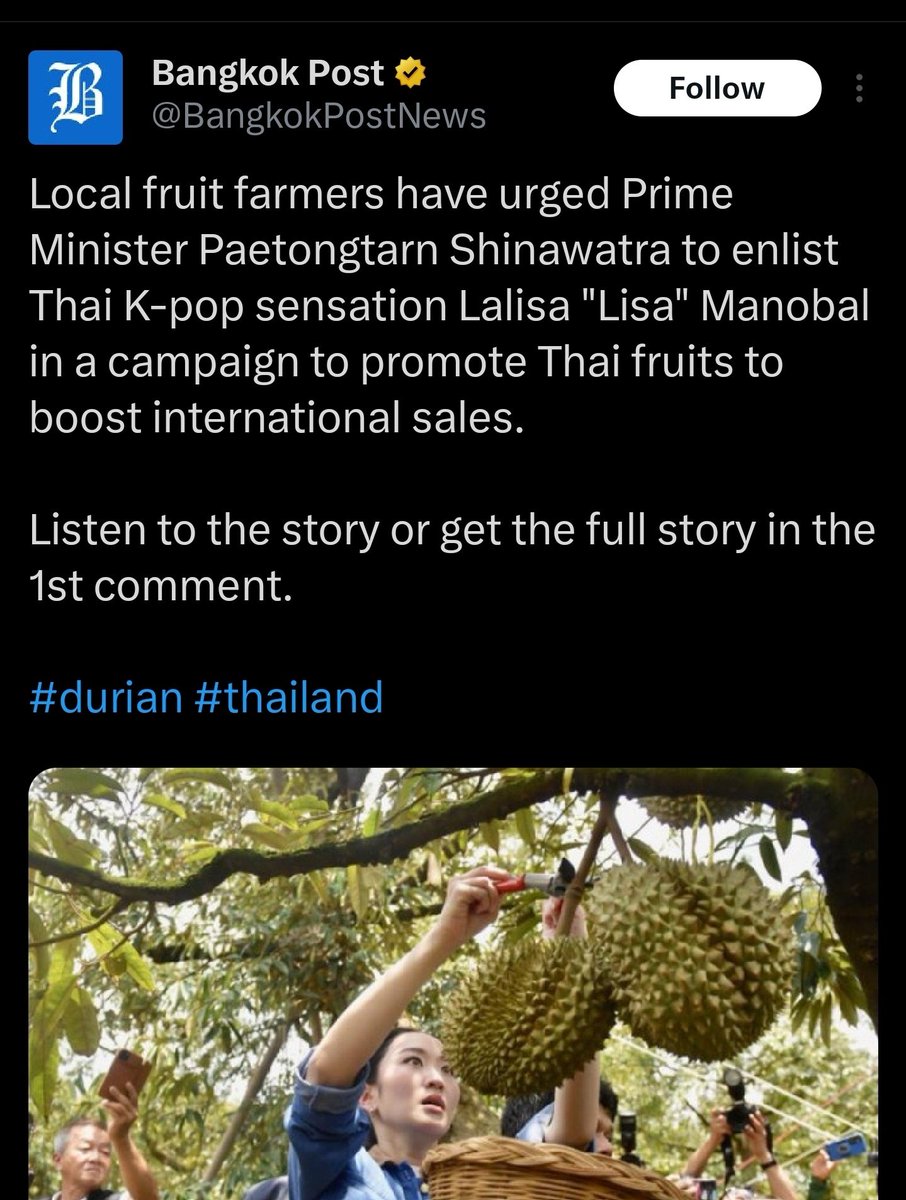 LalisaLovesMe2's tweet photo. Thai farmers should ask the PM or the other THAI girls to promote their fruits and #LeaveLisaAlone. I know for sure if anything goes wrong Lisa will be the first to get blame.😪@BangkokPostNews @BKK_POST @ASEANNOWTH https://t.co/t4IvWGvErL