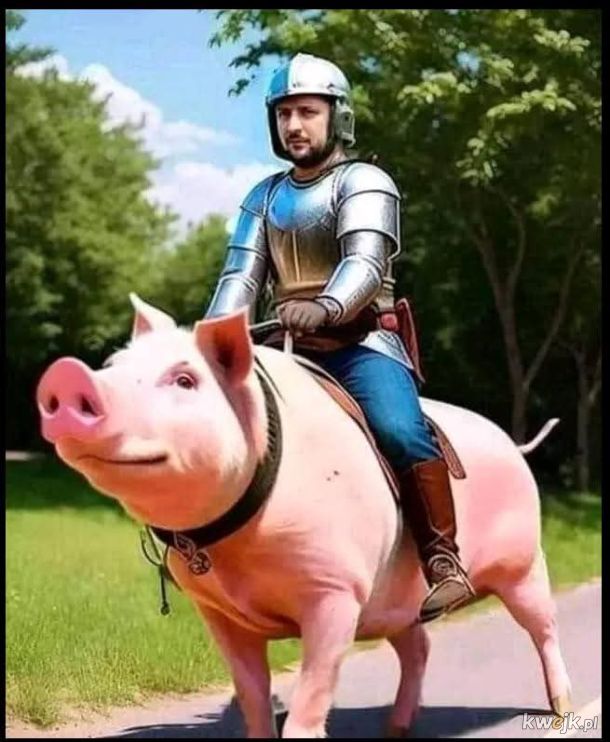 Jest i Tiger 🤣🤣