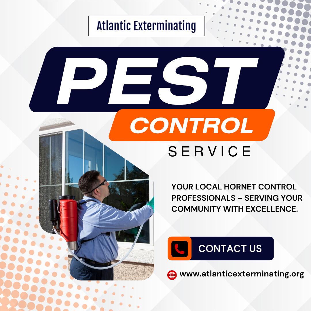atlcpestcontrol's tweet image. Your Local Hornet Control Professionals – Serving Your Community with Excellence.

Reach out
atlanticexterminating.org/hornets-contro…

#HornetControl #PestFreeHome #AtlanticExterminating #SafeLiving #LocalPestExperts #WaspRemoval #HornetRemoval #HomeSafety