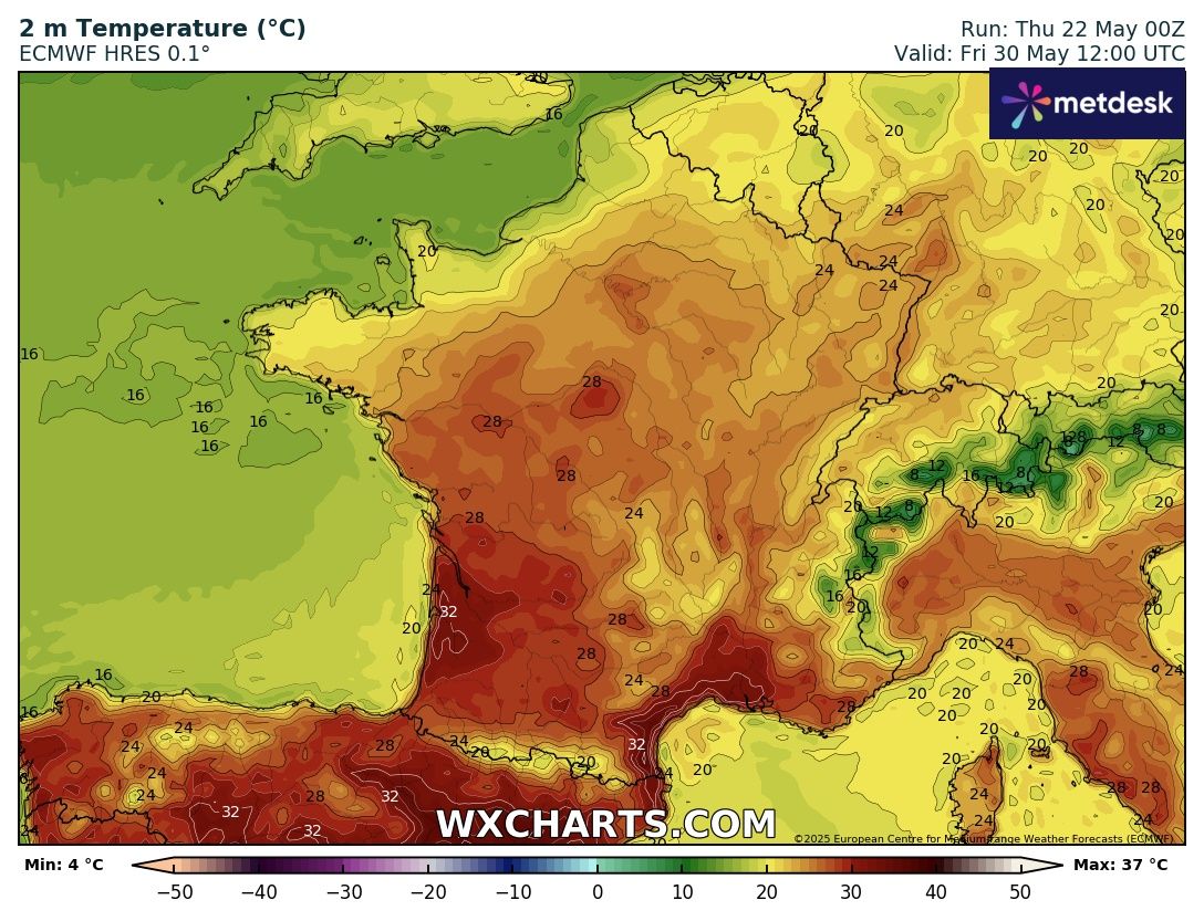 Rouslan Tremblier tweet media
