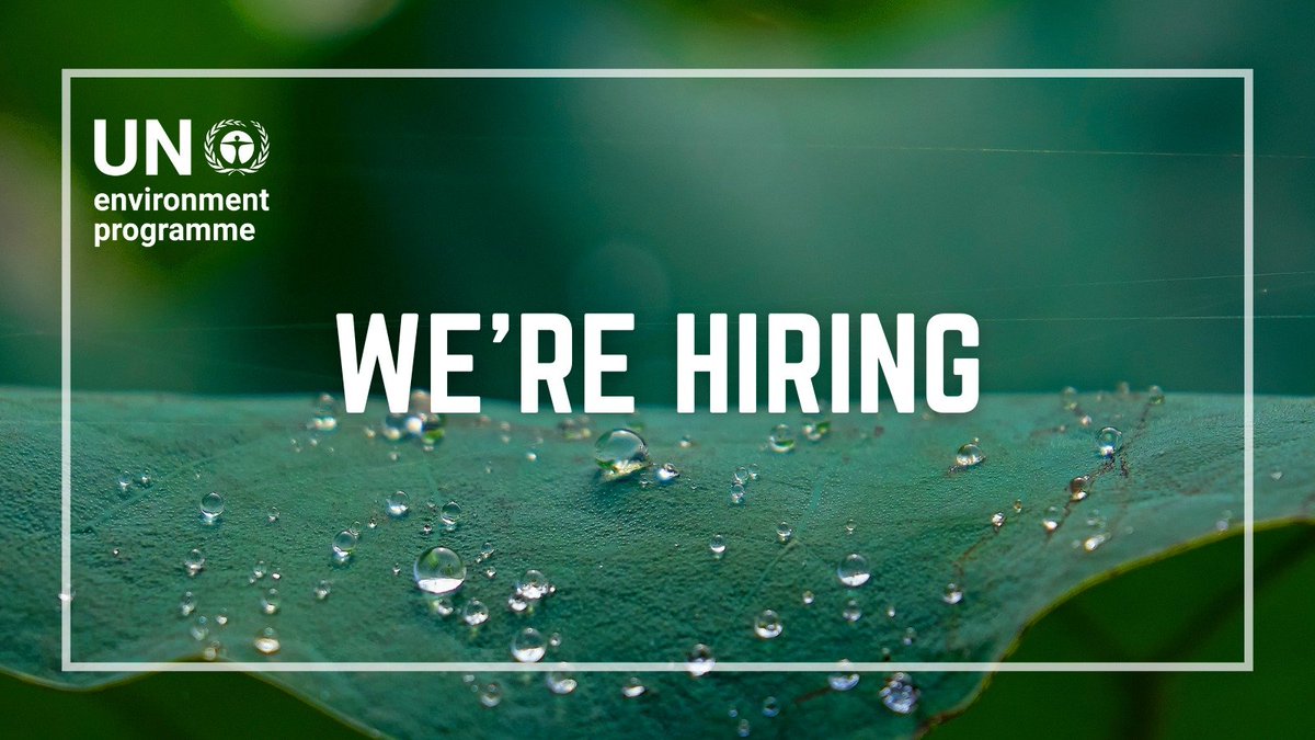 📢 New Consultancy Opportunity with UNEP-IETC

UNEP’s International Environmental Technology Centre is hiring an Expert on plastic pollution! 

🗓️ Apply by: 30 May 2025
📍 Work location: Home-based 
🔗Learn more: careers.un.org/jobSearchDescr…