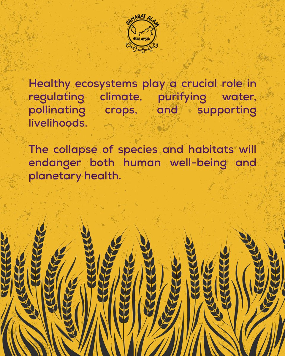 Today, Sahabat Alam Malaysia reaffirms our commitment to biodiversity protection 🌳