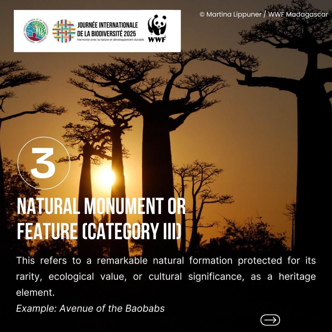 WWF Madagascar (@wwf_mada) on Twitter photo 1/2 🌿 Happy #BiodiversityDay! In Madagascar 🇲🇬, protected areas are living treasures where nature & local know-how meet.
Did you know they’re divided into categories based on protection level & allowed activities? Let’s take a closer look 👇 1/2 🌿 Happy #BiodiversityDay! In Madagascar 🇲🇬, protected areas are living treasures where nature & local know-how meet.
Did you know they’re divided into categories based on protection level & allowed activities? Let’s take a closer look 👇