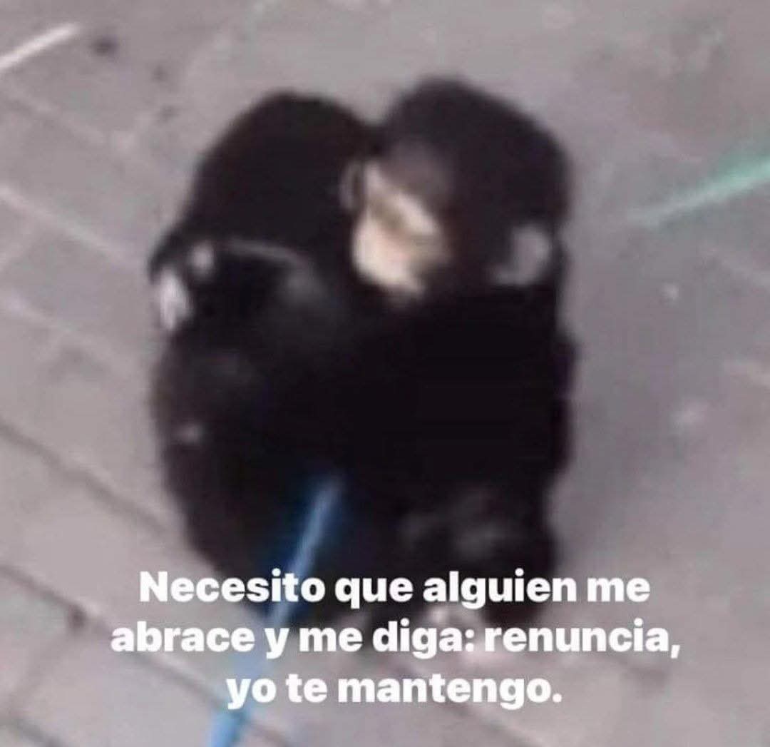 En Júpiter (@en_jupiter_) on Twitter photo 
