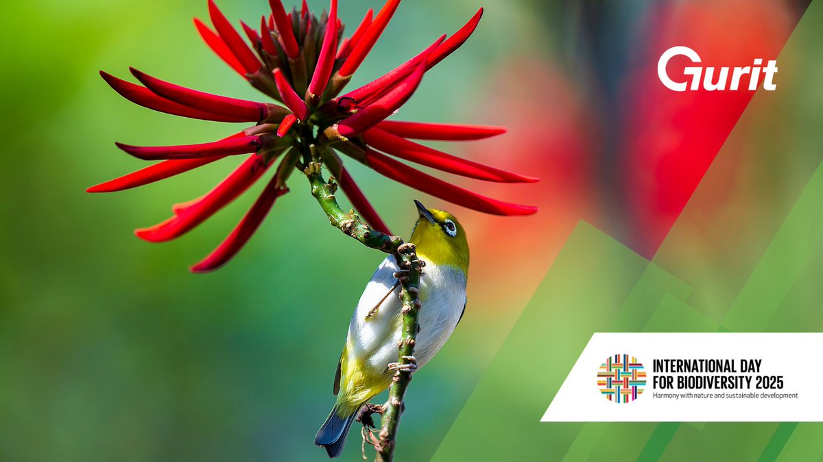 🌍 Today, on the International Day for Biodiversity, we recognize the importance of protecting the rich variety of life across our planet.🐾🌳🐬

Protecting biodiversity means securing the future of ecosystems, species, and communities.

#BiodiversityDay #Sustainability