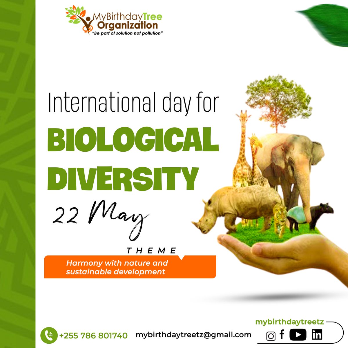 🥳 Happy international Biodiversity Day 🌎 

On this #InternationalBiodiversityDay, let’s unite for Harmony with Nature and Sustainable Development . Every species, from vibrant corals to towering trees, plays a vital role in our planet’s health 🌎 💚