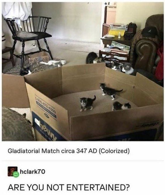 Classical Studies Memes (@csmfht) on Twitter photo 