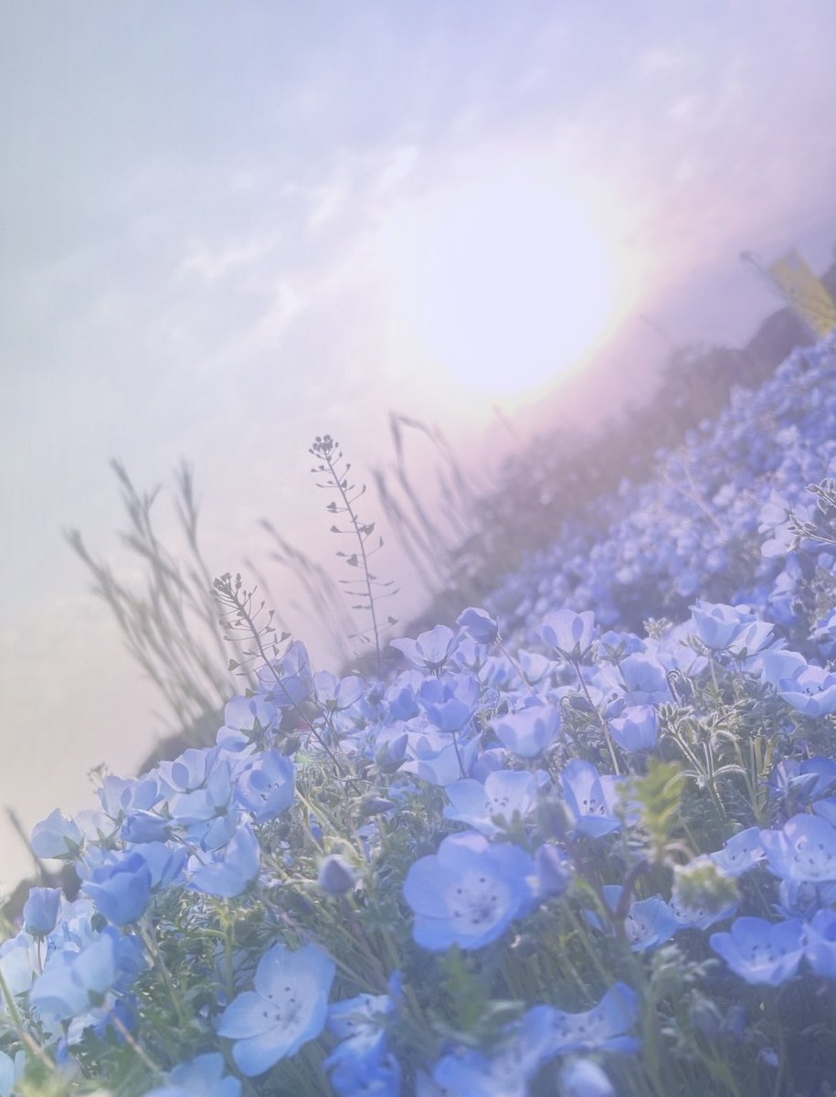 つらかったことを
なぜかまた
思いだしてしまうのは

弱くなったからとか
進めてないからとかじゃなく

ちゃんと向き合えるようになったから

つらいって気持ちを
見つめられるようになったから

包んだり寄り添ったり癒したり
それができるくらい

あなたがきっと
強く大きく

自分に優しくなれたから