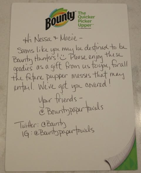 Throwback to when I posted "I'm a Bounty hunter" + Bounty didn't disappoint 😄♥️<a href="/Bounty/">Bounty</a>
#ThrowbackThursday
