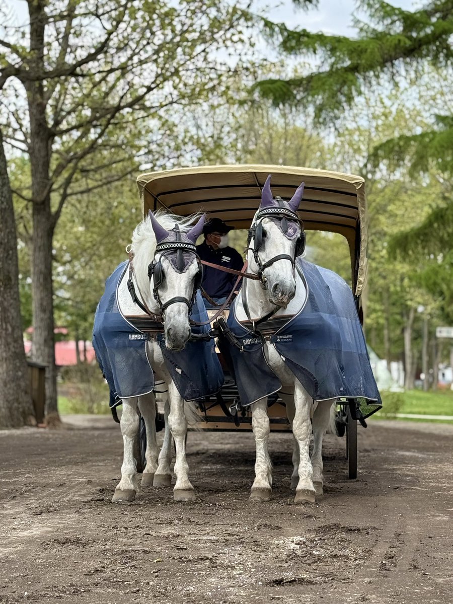 chiikawa_opan's tweet image. ノーザンホースパーク
乗らせてもらった馬車馬たち
2頭とも牝馬ちゃん
ありがとう🥰
#ノーザンホースパーク
#馬車