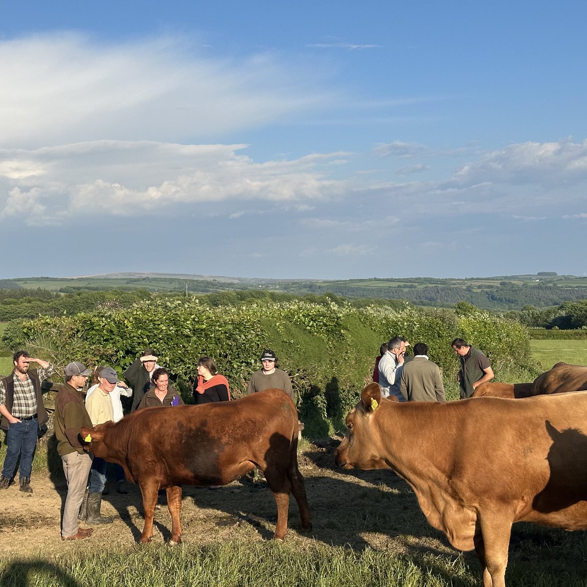 James Wright tweet media