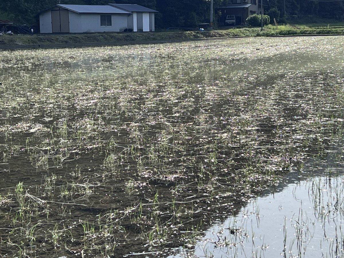 田舎の者mo-chan on X