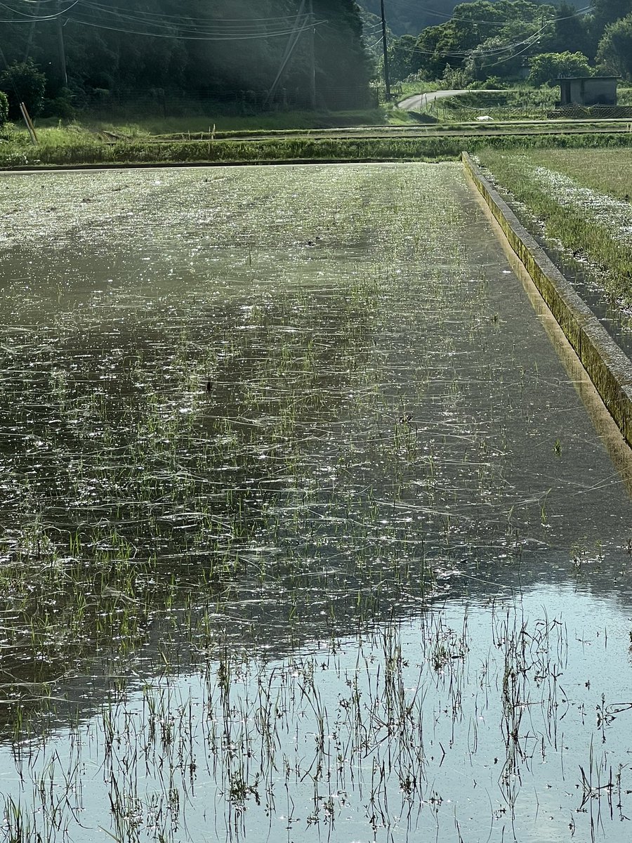 田舎の者mo-chan on X