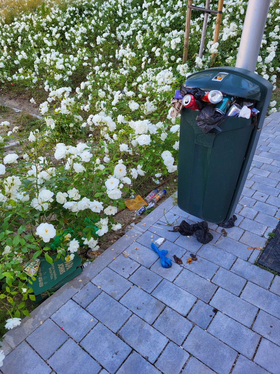 Paleogemer's tweet photo. @Lineamadrid Así llevan días las papeleras del parque entre C/San Cipriano y C/ Mercurio (frente al Primaprix), mientras se realizan trabajos de jardinería en esa zona a diario. ¿Sólo somos los vecinos los que nos damos cuenta de estas cosas? Solicito retirada de basura. Gracias https://t.co/Ke5LucMKqd
