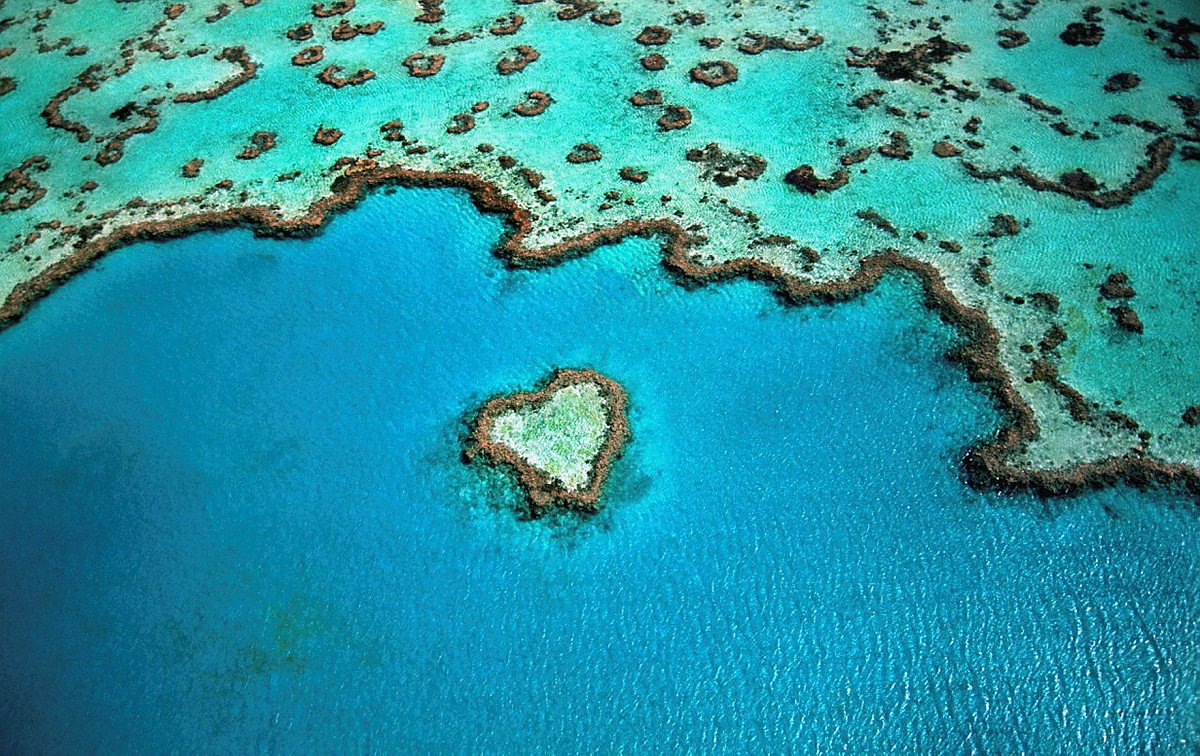 Kate Chamley (@aushc_mu) on Twitter photo Community efforts are protecting Australiaโs #GreatBarrierReef from marine debris. Last year the <a href="/ausgov/">Australian Government</a> funded @ReefClean Program stopped 11 tonnes of debris from reaching the Reef. Since 2019, the program has collected more than 140 tonnes of rubbish: dcceew.gov.au/about/news/comโฆ Community efforts are protecting Australiaโs #GreatBarrierReef from marine debris. Last year the <a href="/ausgov/">Australian Government</a> funded @ReefClean Program stopped 11 tonnes of debris from reaching the Reef. Since 2019, the program has collected more than 140 tonnes of rubbish: dcceew.gov.au/about/news/comโฆ