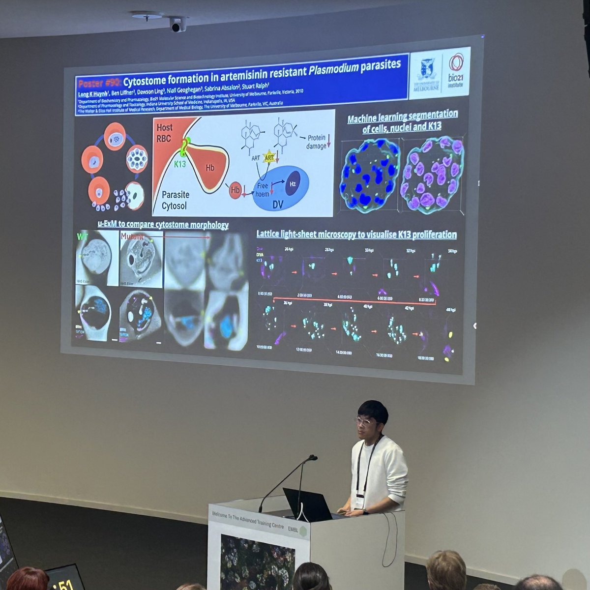 Stuart Ralph (@sturalph) on Twitter photo Go Long <a href="/lkhuynh_/">Long Huynh</a>. Fancy cell biology and fancy microscopy on artemisinin resistance in Plasmodium parasites at the BioMalPar conference #depremoldu EMBLMalaria <a href="/EMBLEvents/">EMBL Events</a> Go Long <a href="/lkhuynh_/">Long Huynh</a>. Fancy cell biology and fancy microscopy on artemisinin resistance in Plasmodium parasites at the BioMalPar conference #depremoldu EMBLMalaria <a href="/EMBLEvents/">EMBL Events</a>