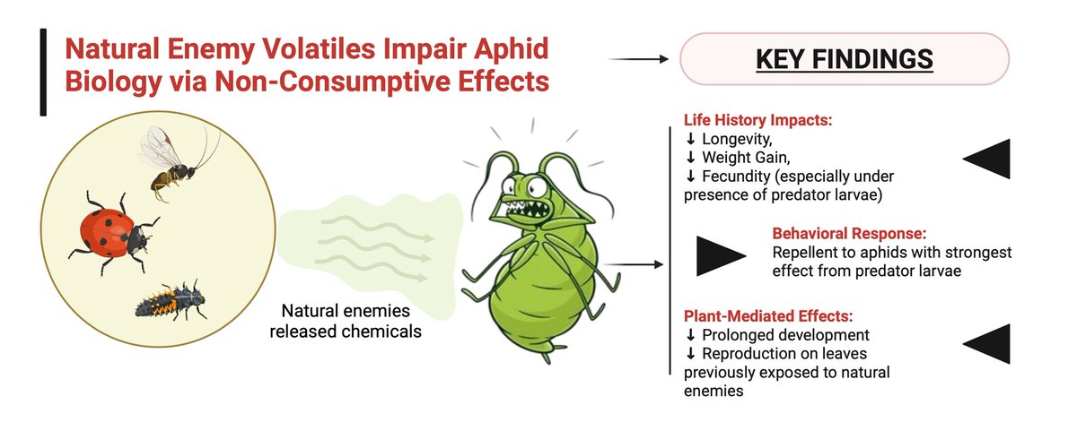 ACCEPTED: Volatiles mediate non-consumptive effects of natural enemies on herbivores: a new dimensions in biological control
#EntomologiaGeneralis
#JilinAgriculturalUniversity 
<a href="/dradiltonga/">Adil TONĞA</a>