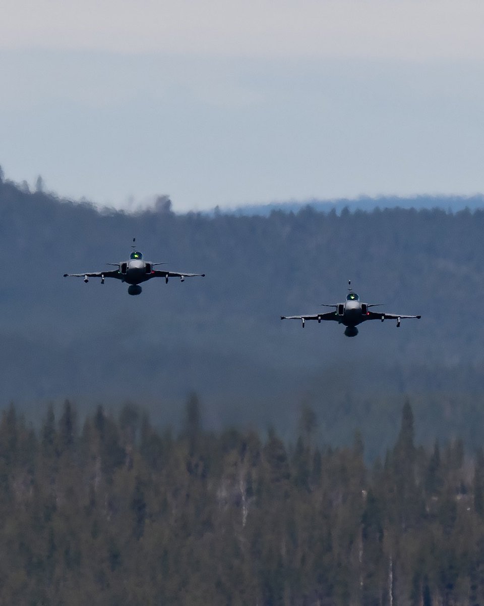 Norrbottens flygflottilj tweet media
