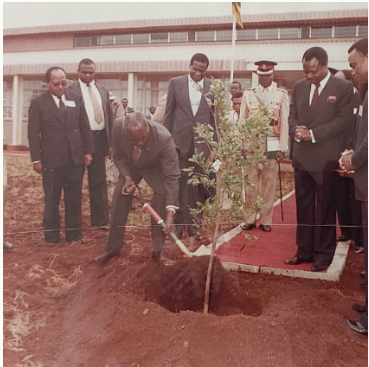 RCMRD_'s tweet photo. #FunFact #RCMRDanniversary
Did you know?
On 19th June 1985, during the official opening of RCMRD’s premises, Kenya’s 2nd President, the late Daniel Toroitich Arap Moi, planted a tree to mark the occasion. 🌿

🌟 40 years later, that tree still stands tall.
#rcmrdanniversary #RCMRDat50