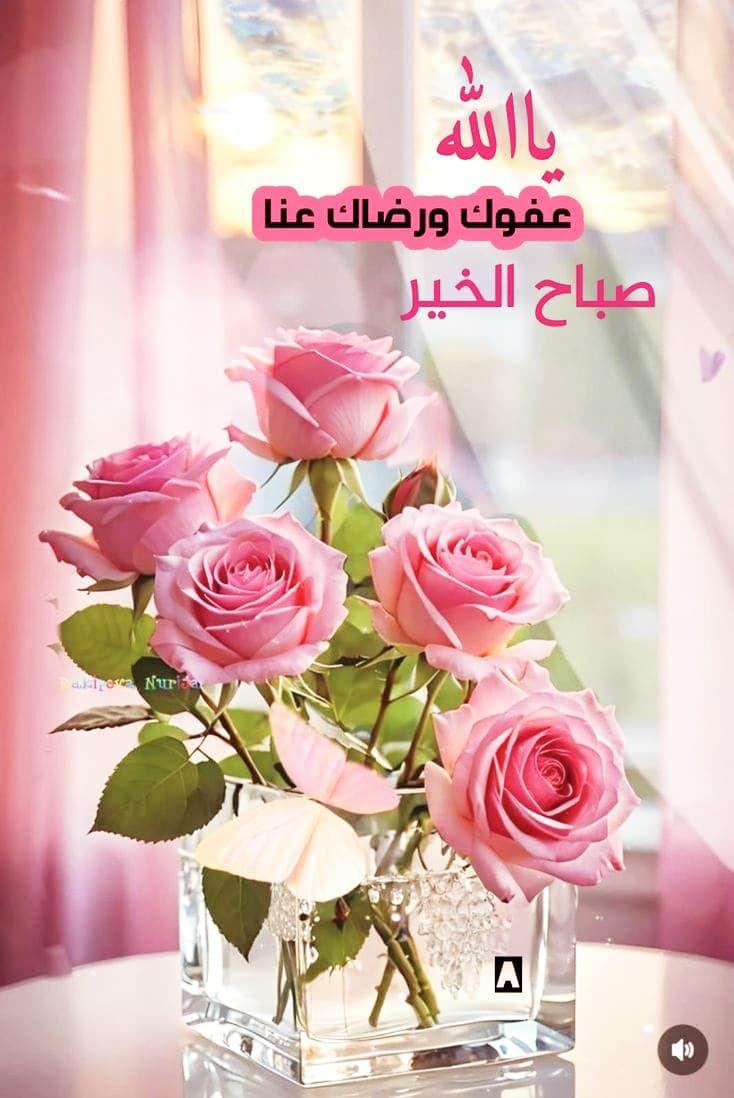 أبو ابرار tweet media