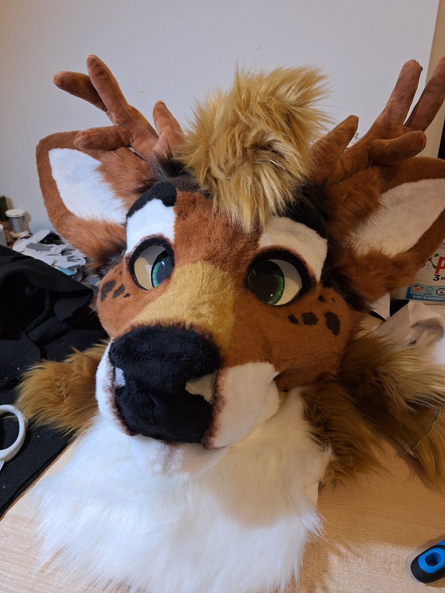 YCHsuits's tweet photo. A new deer kinda day https://t.co/NoTxNcyZ9b