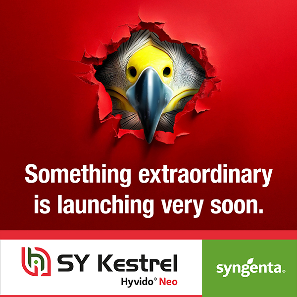 A ground-breaking new variety is in the pipeline…

Curious? Keep your eyes peeled at #CerealsEvent2025 or at our upcoming open days.

Find out more on our website: bit.ly/435i42C

#SYKESTREL #SeedInnovation