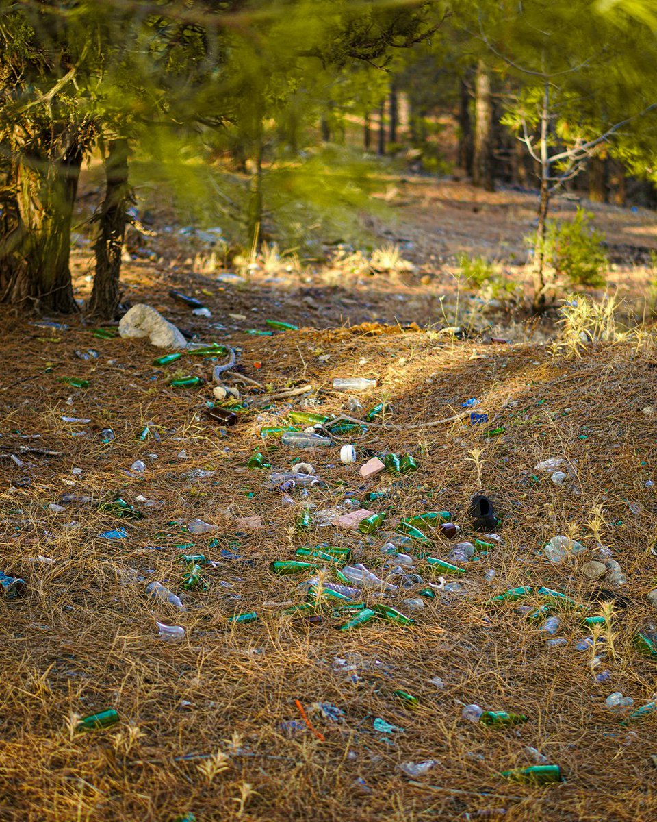 Although it isn't harmful, glass can sit in a landfill for thousands of years without breaking down. But here’s the good news- it doesn’t ever need to go to a landfill because it can be reused, repurposed or recycled instead 🌱