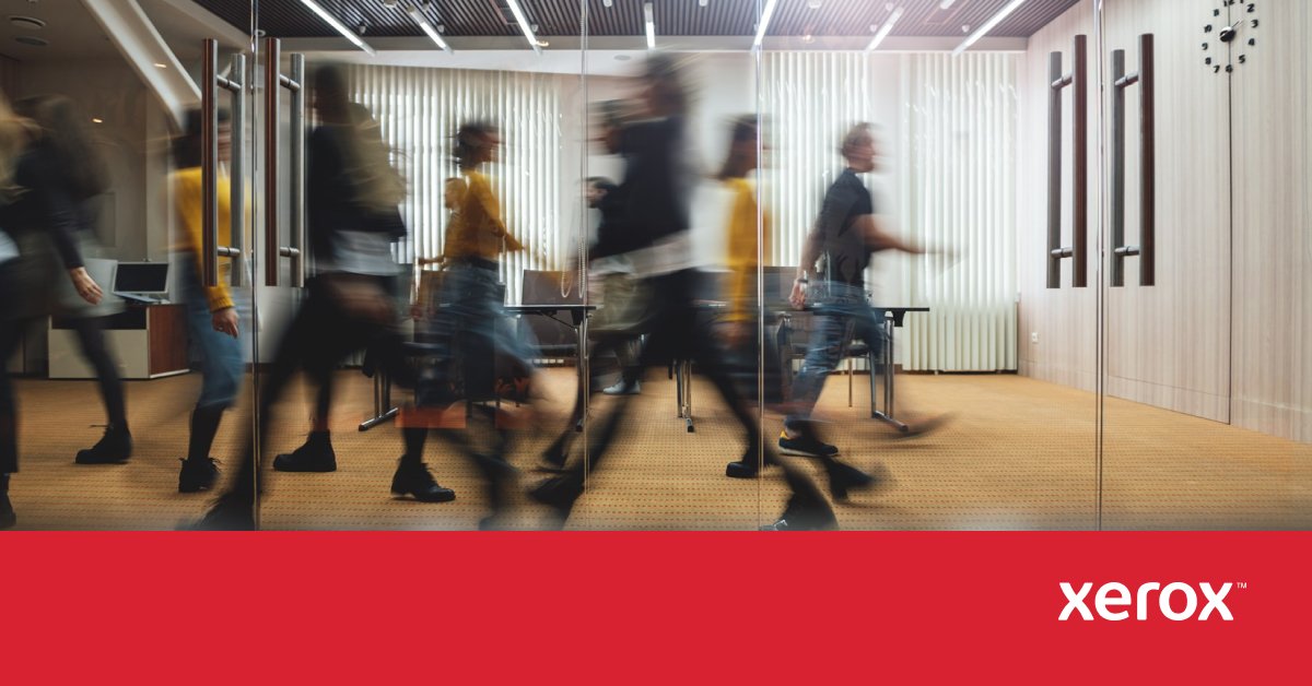 La automatización es el mejor amigo de su flujo de trabajo de impresión. Aumente su productividad con nuestras soluciones de software Xerox®.

xerox.bz/4msZBVf