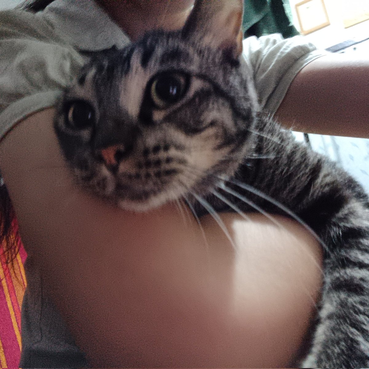 ncstalgiia's tweet photo. HAPPY 3 YEARS MIKO 😭😭😭😭😭😭😭😭😭😭😭😭😭 https://t.co/RI16iepmH4