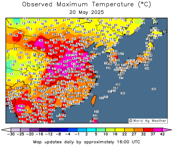 The #Chinese government announced that high temperatures are expected to impact grain in major #wheat-growing areas, particularly in Henan, which accounts for 27% of China’s total wheat production. However, the extent of the damage remains unknown.