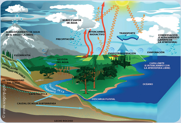 IGNSpain's tweet photo. 🤔 ¿Por dónde pasa el agua antes de llegar a los ríos? 🏞️

💦 El #agua del planeta se encuentra en circulación permanente, por eso hablamos de ciclo del agua 

💧 Va discurriendo por los #ríos, #torrentes o #barrancos y de forma subterránea hasta llegar finalmente al #mar donde el proceso de #evaporación vuelve a producirse debido al calor del #sol

ℹ️ Más info en nuestro portal del Atlas didáctico
👉🏼 https://t.co/kCes38fgnQ

Créditos de imagen: U.S. Global Change Research Program (@usgcrp)

#IGNSpain #CNIG #AtlasDidáctico #RecursosEducativosIGN #Hidrografía #CicloAgua #Condensación @transportesgob @AGE_Oficial @didacgeografica