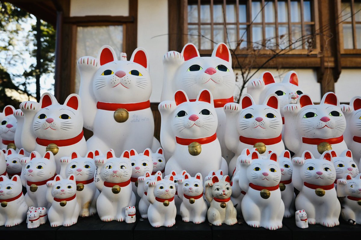 🐈
#写真好きな人と繋がりたい