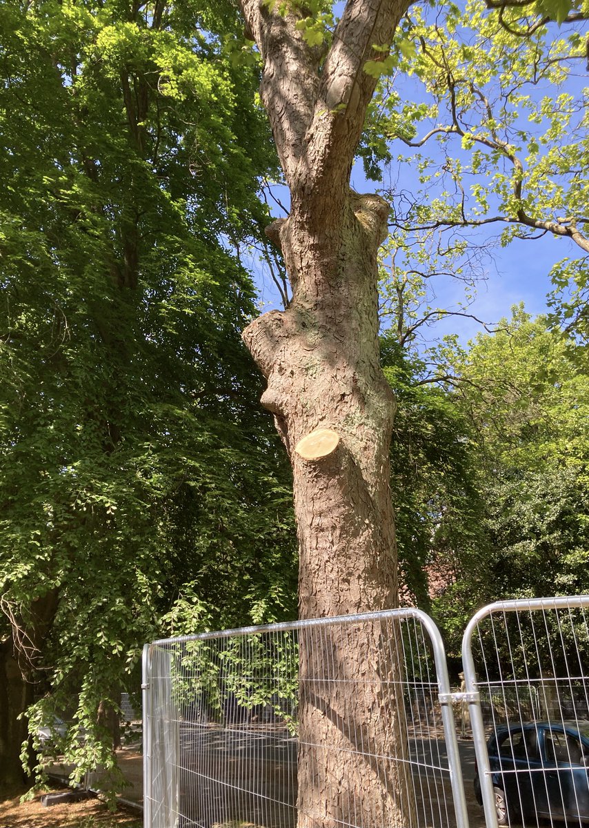 Cjlx21's tweet photo. Liverpool city council is paying £250,000 to have the local environment ruined by the BBC.
#SeftonPark https://t.co/WiluD3KaWn