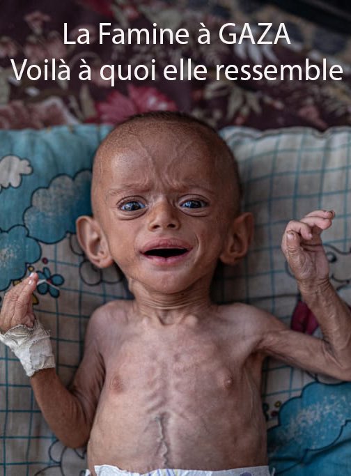 CNN Portugal cnnportugal.iol.pt/palestina-ajud…