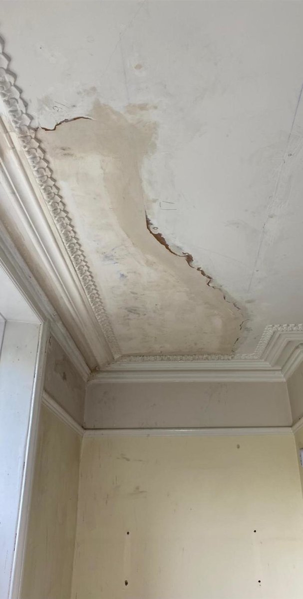 CSJbespoke's tweet photo. Repairing a portion of ceiling and missing cornice. Once it's painted you'd never know there was ever anything missing! ๐
#bespokeplastermouldings #bespoke #home #homedesign #homedetails #diy #proffesional #crafts #craftsmen #restoration https://t.co/VZLNIiTLVN