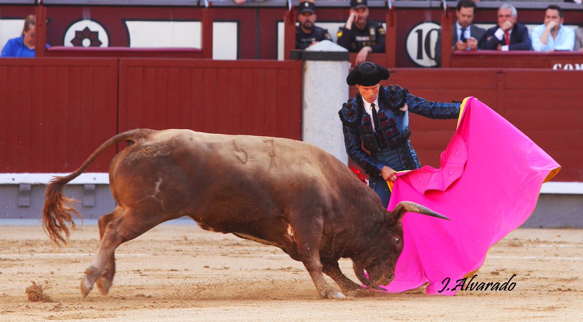 El Pasmo tweet media