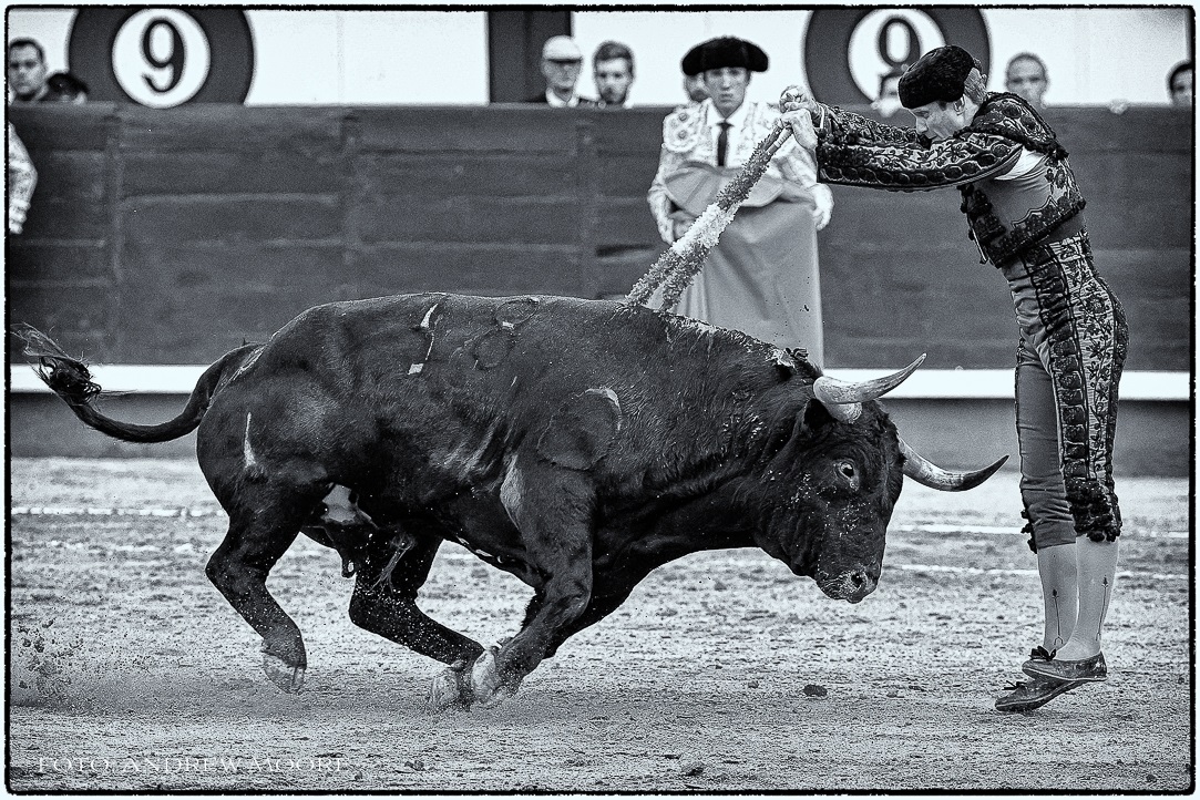 El Pasmo tweet media