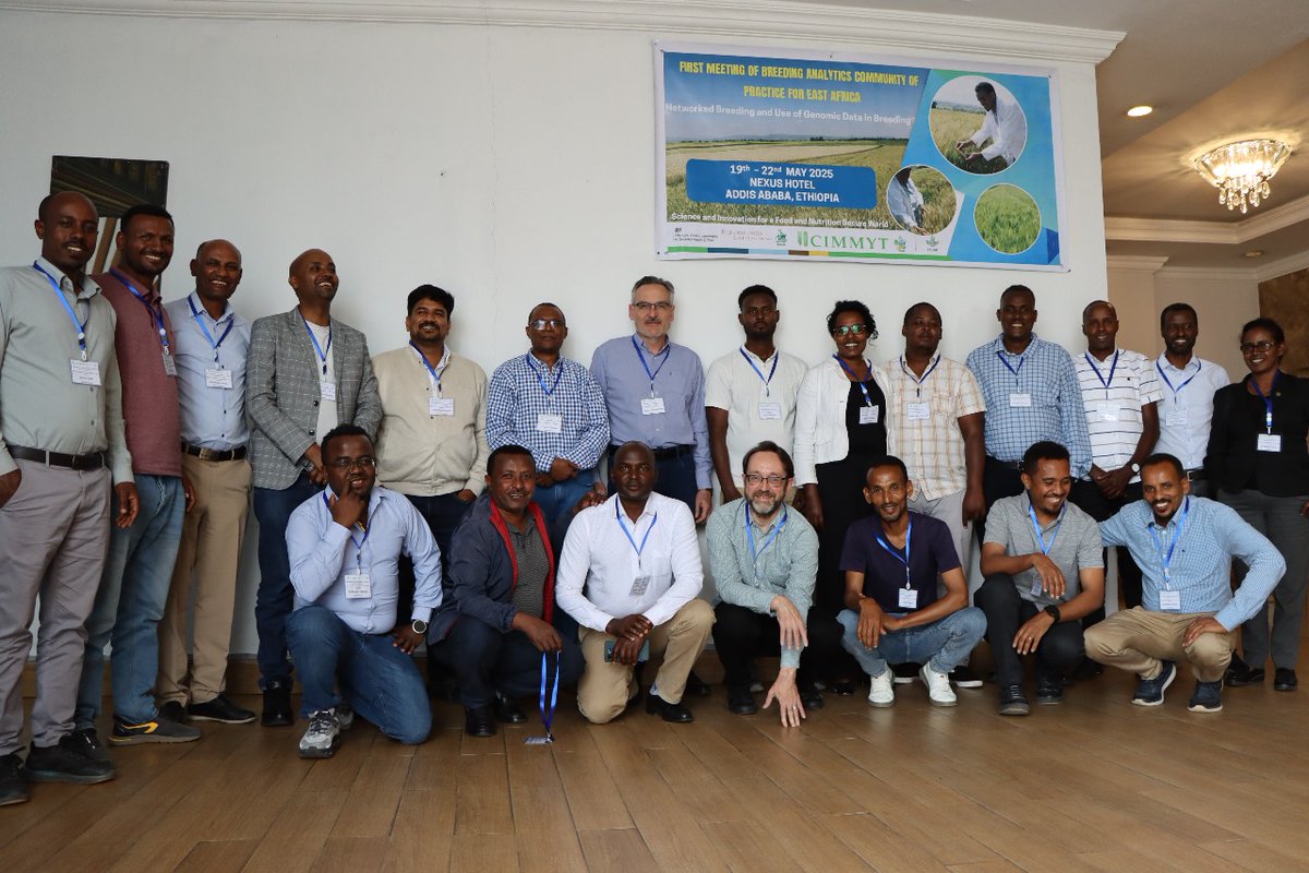 HabteWheat's tweet photo. Good to meet colleagues from CIMMYT.

### CIMMYT delegates meet EIAR and EBI senior managemnt ... discuased future collaboration/Networking  ### May 20/2025 https://t.co/x162yCNdz2