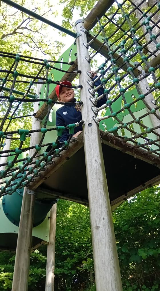 St. Mary's Prep tweet media