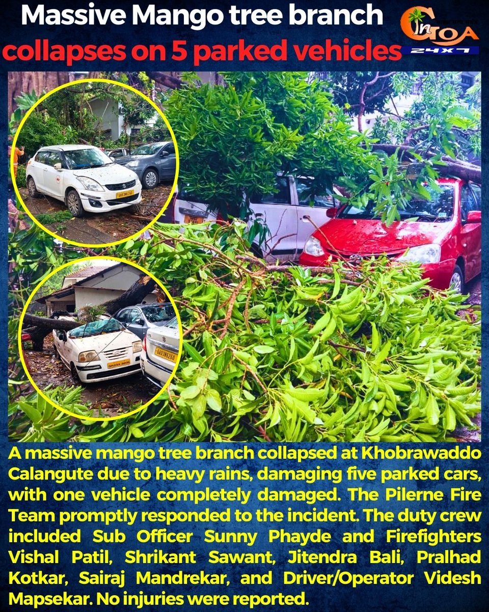 InGoa24x7's tweet photo. A massive mango tree branch collapsed at Khobrawaddo Calangute due to heavy rains, damaging five parked cars, with one vehicle completely damaged. 

 #goa #goanews #treeCollpased #vehiclesdamaged https://t.co/ENnSD4IqiJ