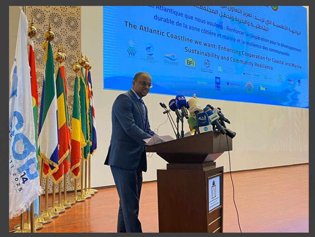 UN Environment Programme in Africa tweet media